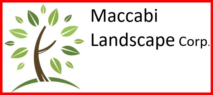 maccabi landscape
